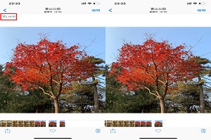 苹果手机相册出现两张一样的照片「iphone技巧」