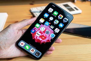 南阳苹果iPhone XS Max全新机回收价格