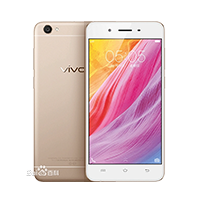 vivo Y55
