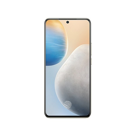 vivo X60
