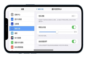 iPhone辅助功能哪些实用(iphone的辅助功能设置技巧)