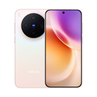 vivo X300