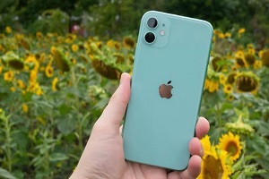 北京iphone11回收大概什么价格(2021回收报价)