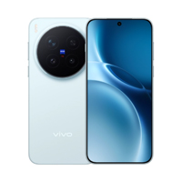 vivo X300 Pro