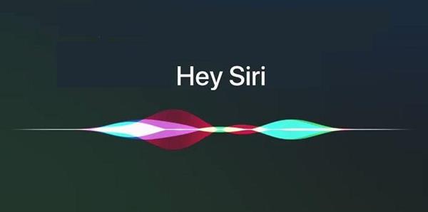 iPhone 12的Siri不回应怎么办 Siri不回答解决方法