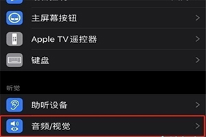 iPhone 12怎么调整音频,苹果12视觉设置在哪里
