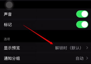 iPhone保护个人隐私设置方法
