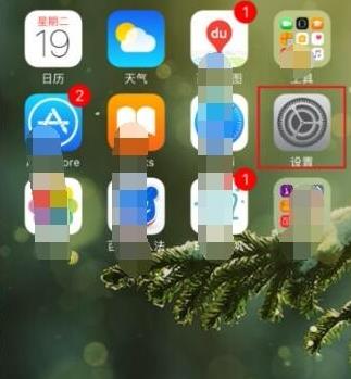苹果权限设置在哪里
