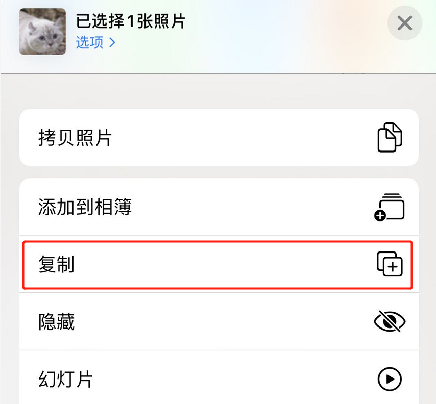 苹果11照片“复制”功能保留原图