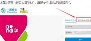 如何重查询手机服务密码