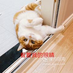 有什么软件可以制作表情包？

