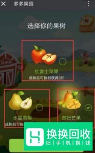 多多果园打不开?拼多多果园里没有拼单领化肥?
