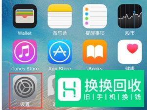 苹果手机怎么上ins
