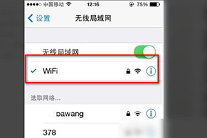 苹果wifi私有地址是什么意思
