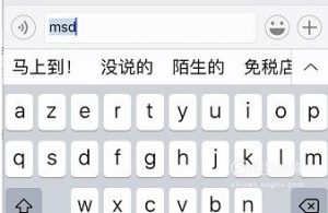 iPhone的文本替换功能怎么设置？