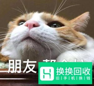 换手机了,怎么找到以前的微信群聊