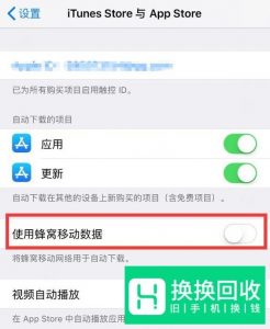 苹果iPhone如何用流量下载软件