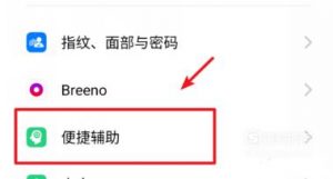 realme Q怎么设置红包助手？
