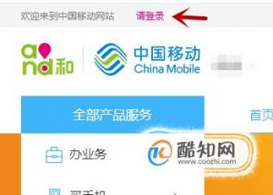 如何查询手机服务密码