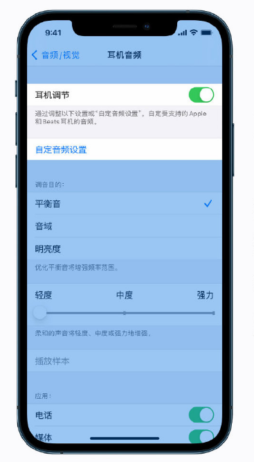 iPhone 12怎么调整音频,苹果12视觉设置在哪里