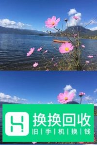 如何利用手机将多张照片拼在一起？
