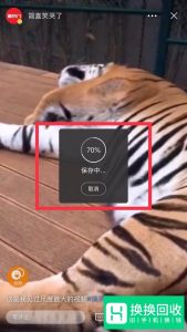 如何下载新浪微博里的视频