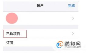 iOS 13 如何隐藏 App Store 已购买项目？
