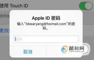 更新apple id设置 部分账户需要重新登录怎么办