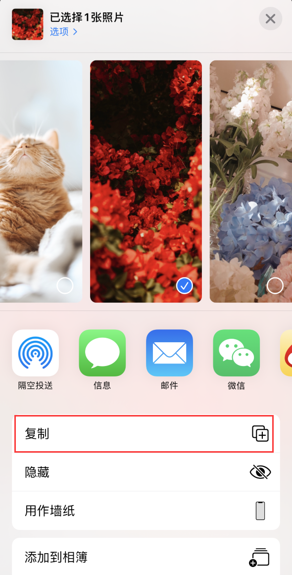 iPhone12同时保留原图的情况下编辑照片