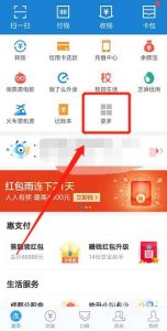 支付宝帮宝贝战胜先心病项目在哪里捐赠爱心