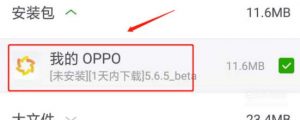 解析程序包时出现问题怎么办？