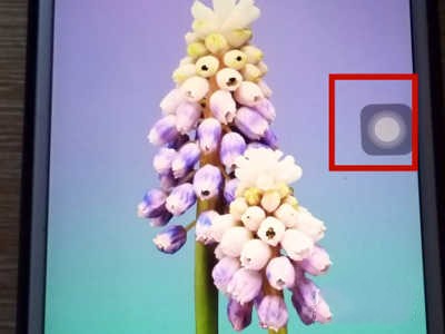 苹果手机怎么切换应用
