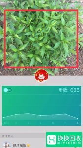 如何设置微信运动主页的背景图片？