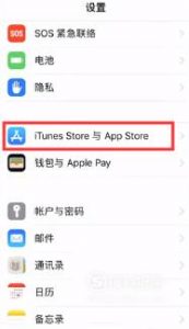 app store怎么改成中文