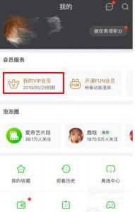 手机爱奇艺二维码在哪里