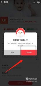 支付宝帮宝贝战胜先心病项目在哪里捐赠爱心