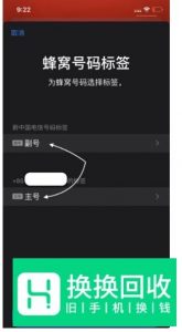 iPhone 11的双卡双待功能如何设置？