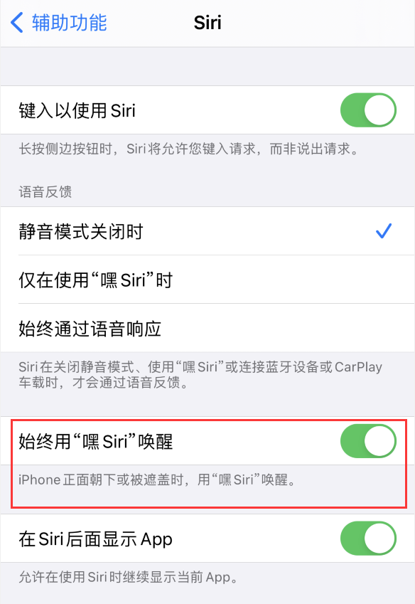 iPhone 12的Siri不回应怎么办 Siri不回答解决方法