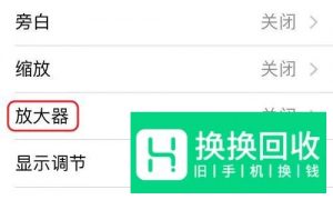 如何开启手机放大镜功能