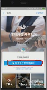 支付宝花呗怎么开通?