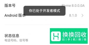 魅族手机的开发者选项在哪？