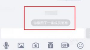 QQ怎么撤回超过两分钟的消息