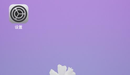 iphone改数据
