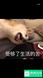 手机QQ怎么快速识别并提取图片中的文字