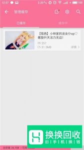 B站如何下载和转码视频？