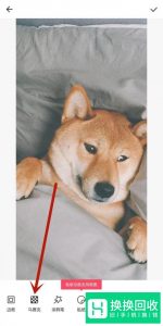 手机版本美图秀秀中如何擦除马赛克