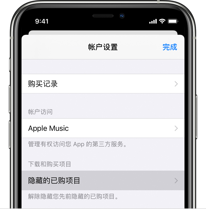 iPhone 12隐藏App Store购买项目