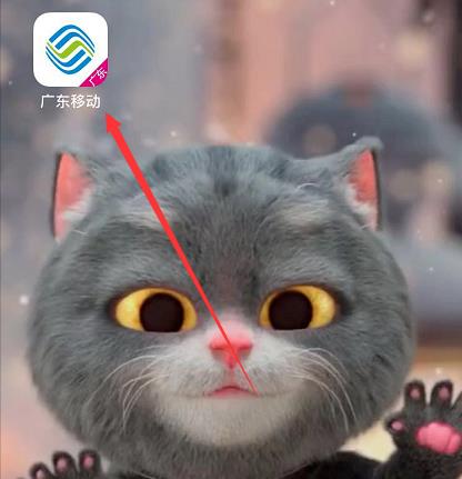 怎么查询手机号码用了多久
