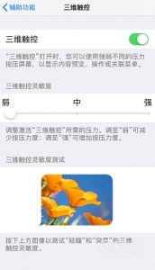 iPhone设置动态壁纸没有声音效果怎么办