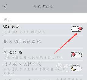 vivo手机怎么开启USB